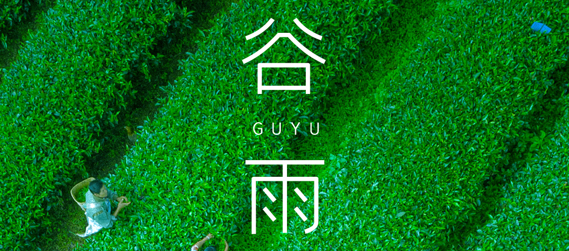 谷雨 |? 春雨淋漓 萬物更新