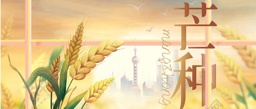 ?芒種 | 梅黃仲夏奮斗時,不慌不“芒”,勤思勤“種”